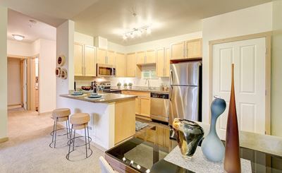 Dishwasher Available at Newberry Square Apartment Homes, Washington, 98087